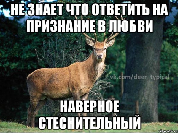 Ответ на признание в любви