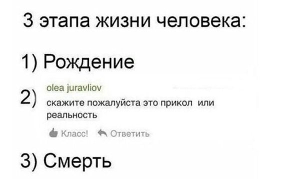3 Стадии жизни