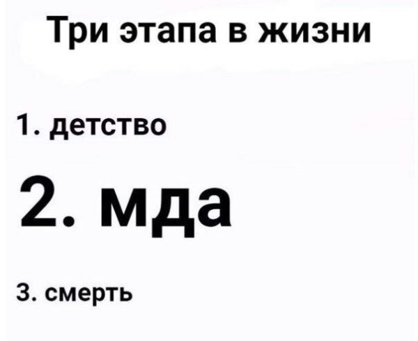 Три этапа жизни Мем