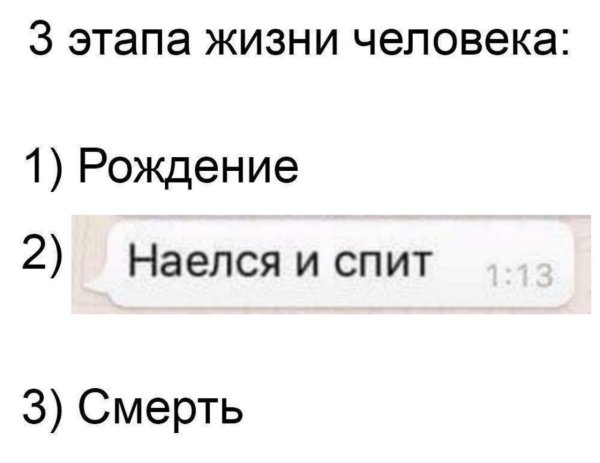 Три стадии жизни