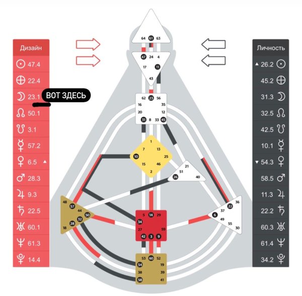 Бодиграф Фредди Меркьюри