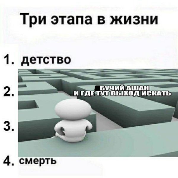 Три стадии жизни