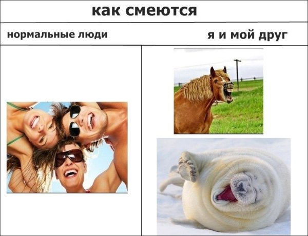 Нормальный человек Мем
