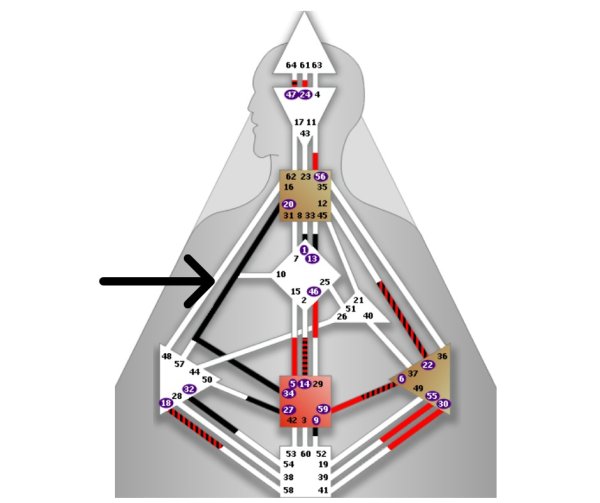 Травма в бодиграфе