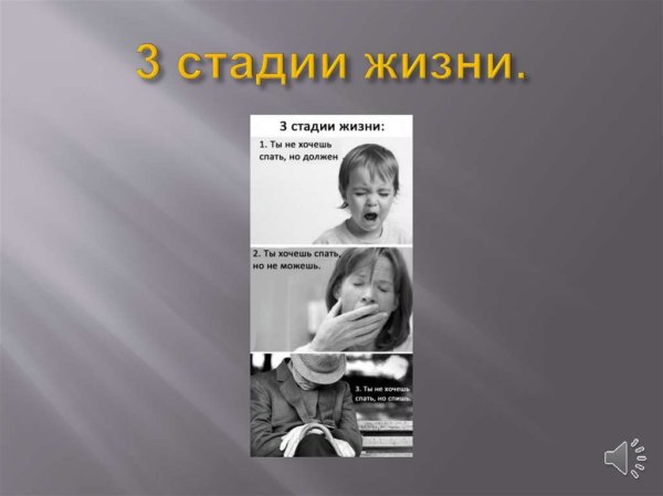 3 Этапа жизни человека