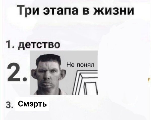 Три этапа жизни Мем
