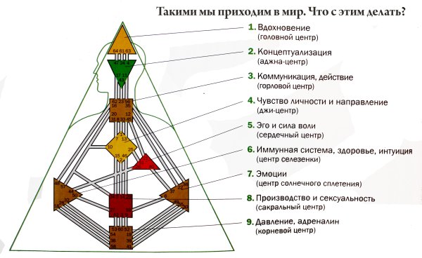 Бодиграф рейв карта