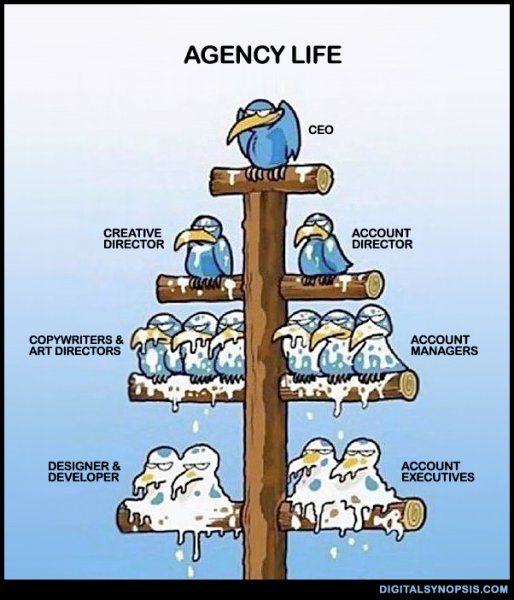 Проектирование приколы