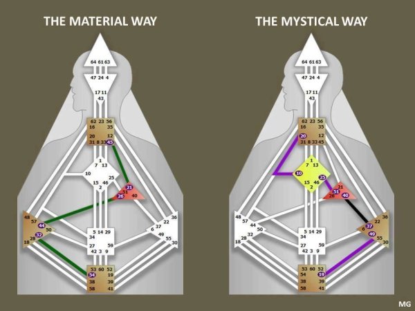 Контуры в ДИЗАЙНЕГО человека