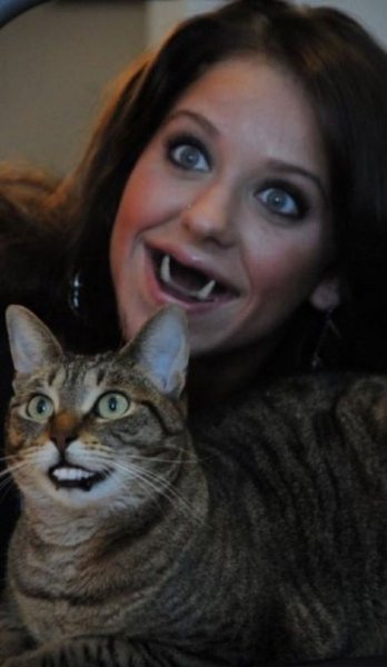 Кошка с человечискимизубами