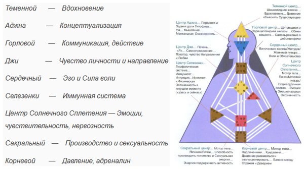 Дизайн человека обозначение центров
