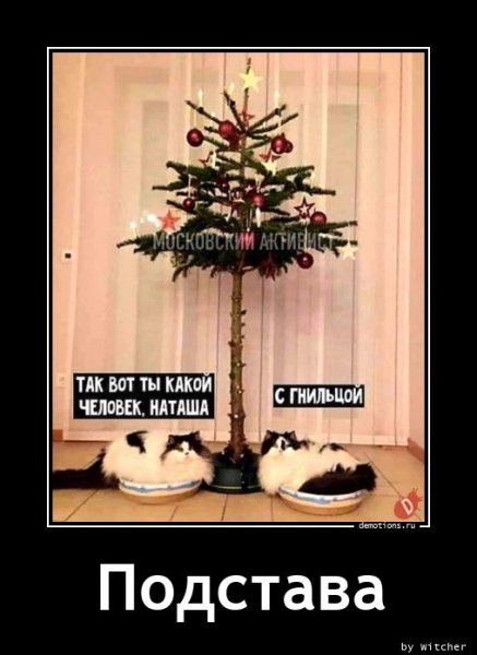 Кот и елка человек с гнильцой