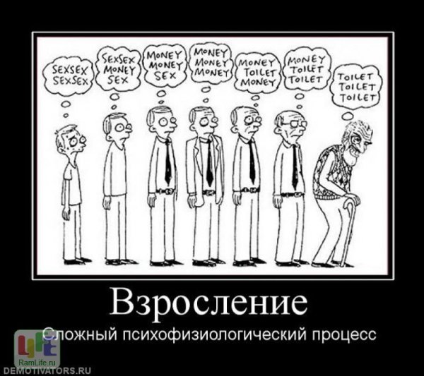 Стадии взросления юмор