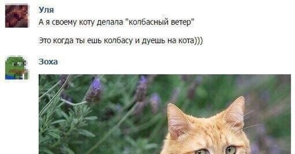 Человек с гнильцой