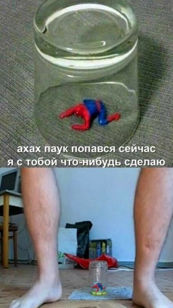 Мужик и Анка