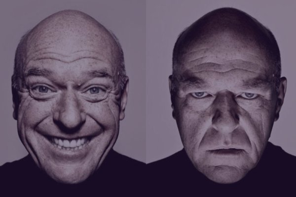 Дин Норрис Мем грустный