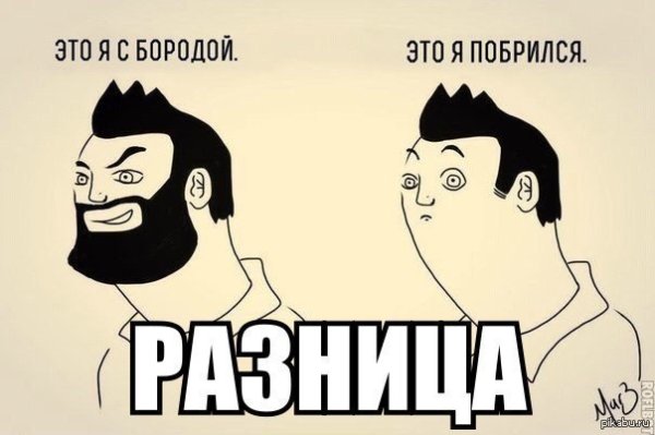 Шутки про бороду