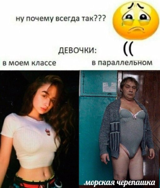 Приколы которые можно скинуть девушке
