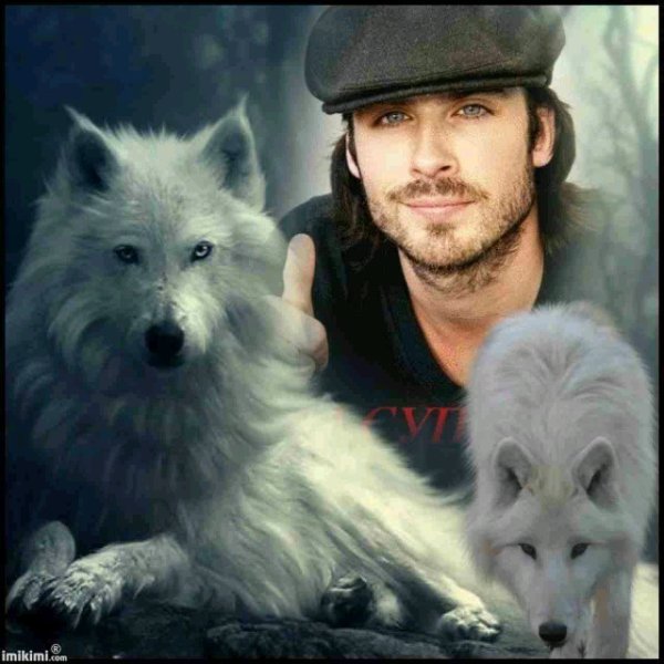 Волк одиночка мужик сам себя