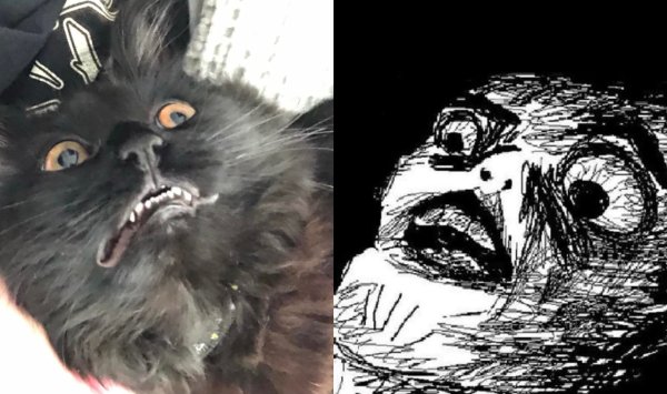 Мем с крестом