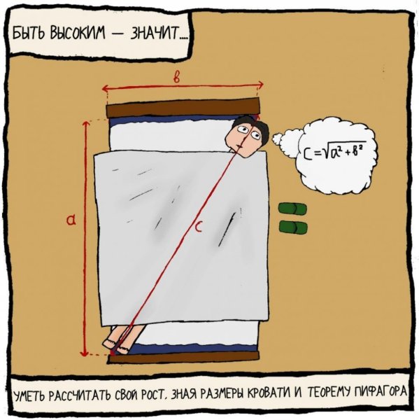 Шутки про высокий рост