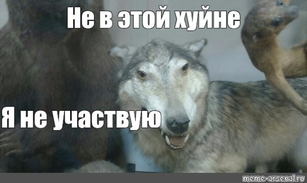Волк Мем