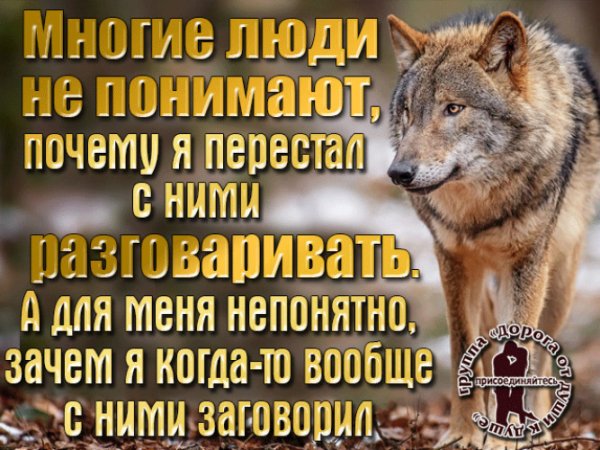 Цитаты про Волков и людей