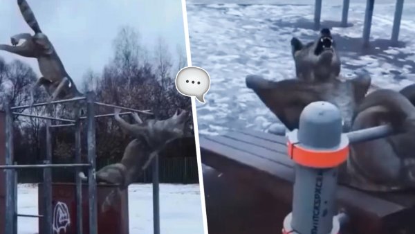 Волки крутятся на турнике