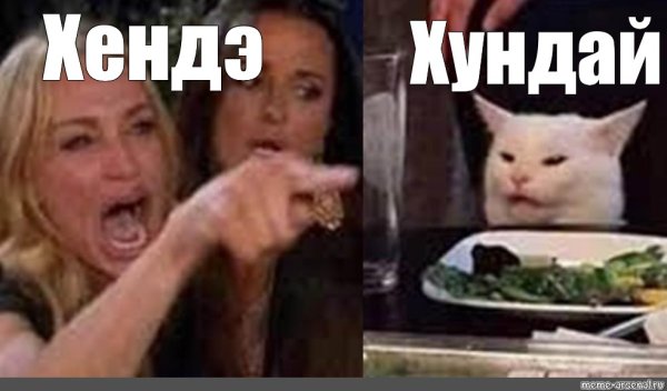 Мемы с тетками и котом