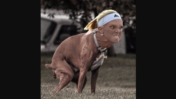 Собака с человеческой головой