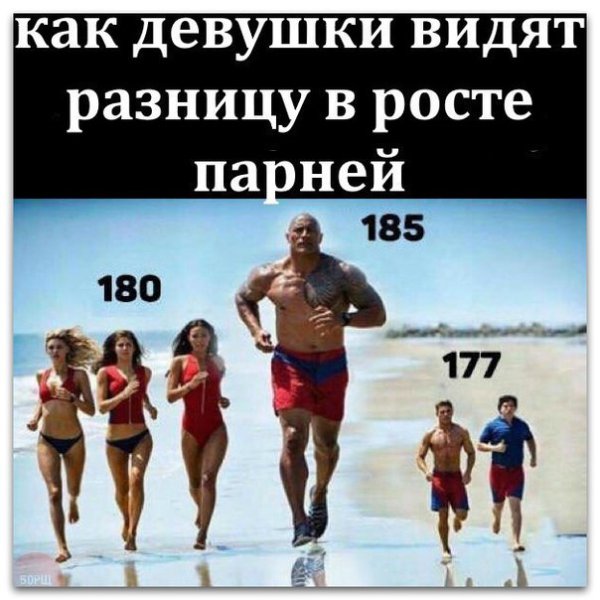Разница в росте Мем