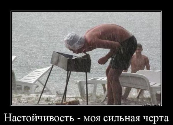 Шутки про упорство