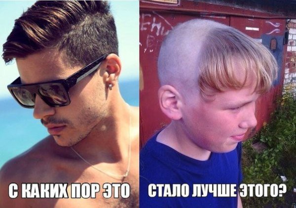 Модная прическа прикол
