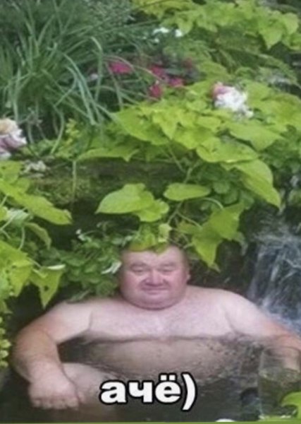 Мужик в пруду