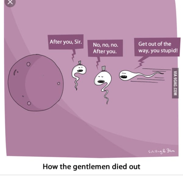 Почему вымерли джентльмены