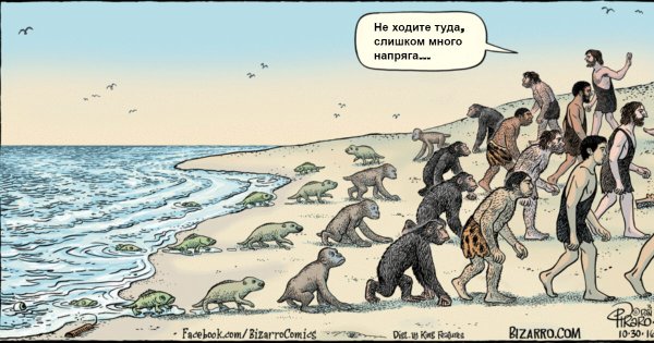 Эволюция человека шутка