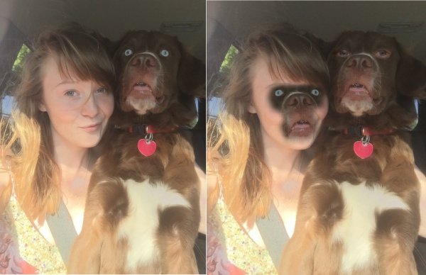 Девочка с лишом собаки