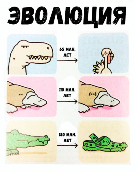 Шутки про эволюцию
