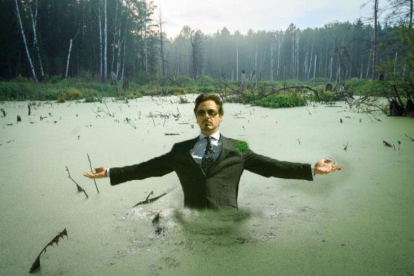 Чел за столом в болоте