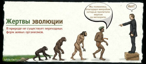 Эволюция Мем