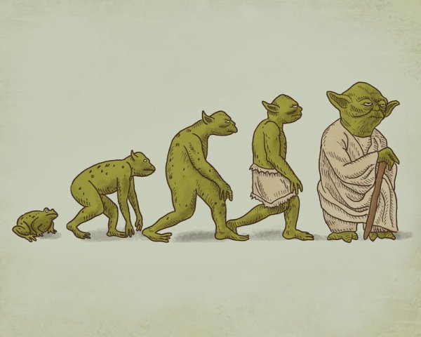 Эволюция прикол