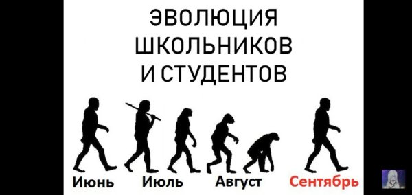 Эволюция человека