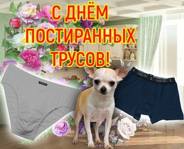 Открытки с днем трусов