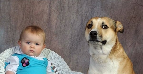 Каждый третий Мем