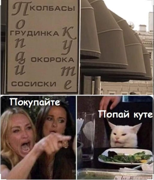 Мемы с котами и девушками