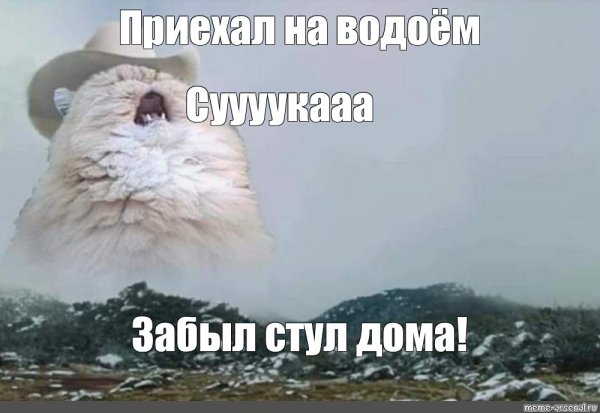 Человек на горе Мем