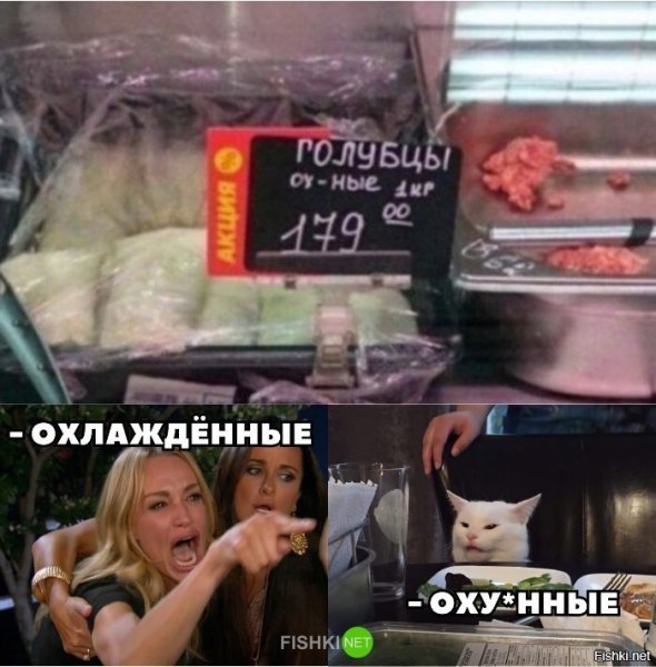 Мемы с котом и вывесками