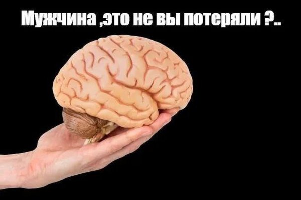 Мозг Мем