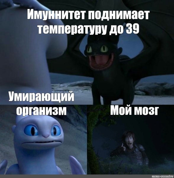 Дневная фурия мемы