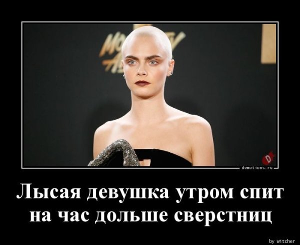 Лысина демотиваторы